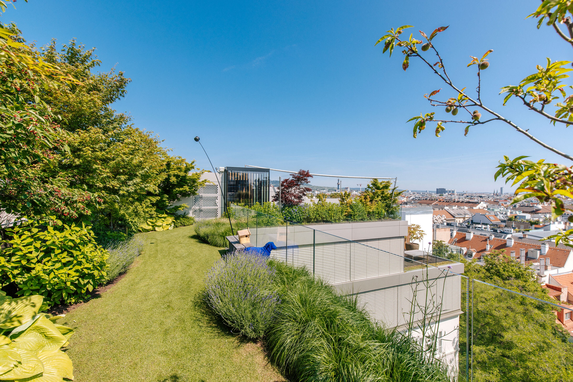 Moderne, verglaste Rooftop-Sauna in einem großen Dachgarten mit Ausblick auf Wien